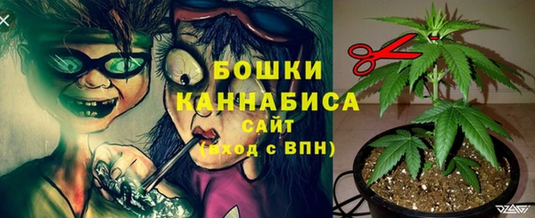 стафф Балахна