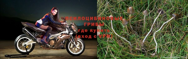 стафф Балахна
